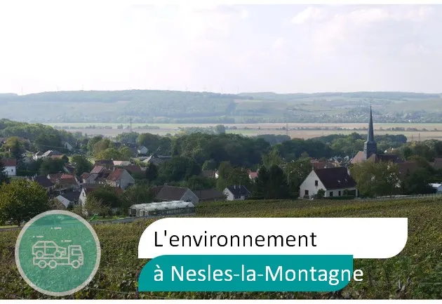 épaviste préserve environnement à Nesles-la-Montagne