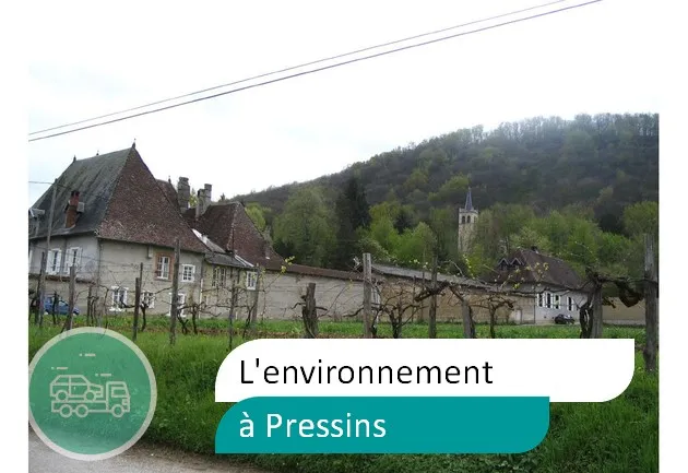 épaviste préserve environnement à Pressins