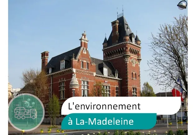 épaviste préserve environnement à Madeleine