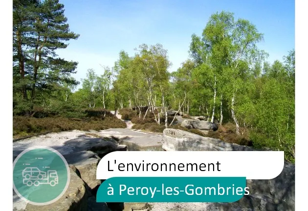 épaviste préserve environnement à Péroy-les-Gombries