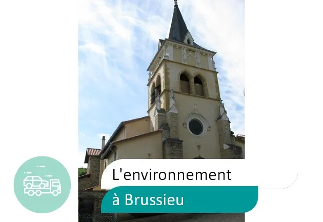 épaviste préserve environnement à Brussieu