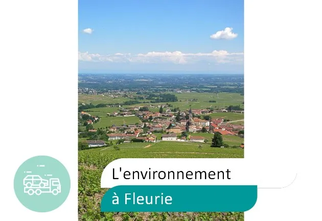 épaviste préserve environnement à Fleurie