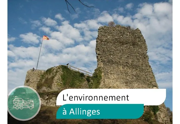 épaviste préserve environnement à Allinges