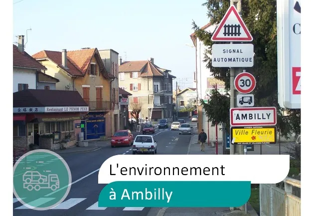 épaviste préserve environnement à Ambilly