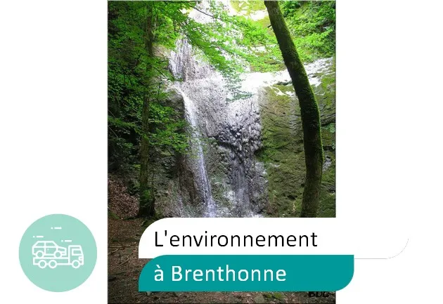 épaviste préserve environnement à Brenthonne