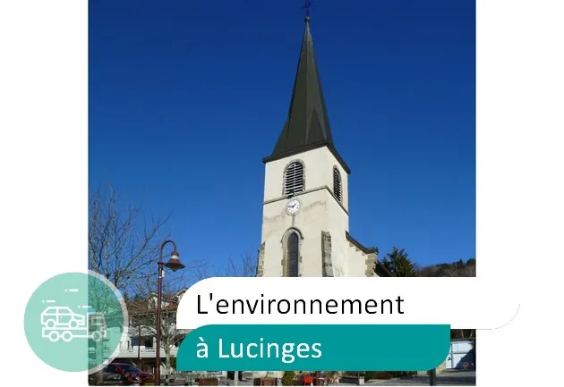 épaviste préserve environnement à Lucinges