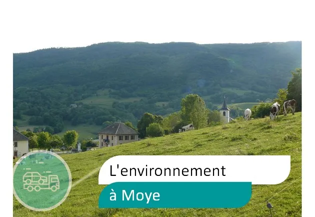 épaviste préserve environnement à Moye