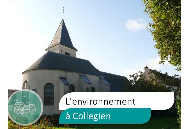 épaviste préserve environnement à Collégien