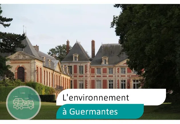épaviste préserve environnement à Guermantes