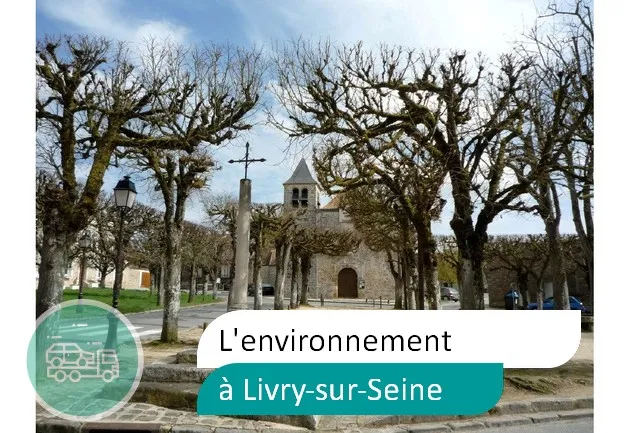épaviste préserve environnement à Livry-sur-Seine