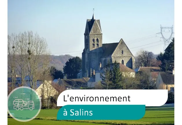 épaviste préserve environnement à Salins