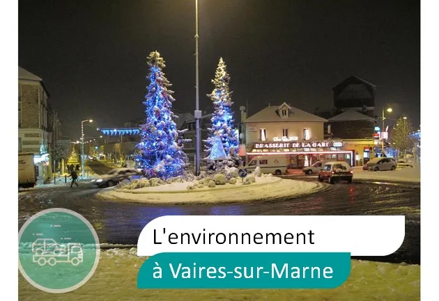 épaviste préserve environnement à Vaires-sur-Marne