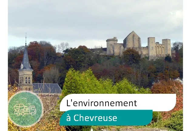 épaviste préserve environnement à Chevreuse