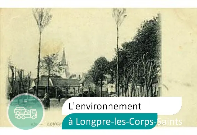 épaviste préserve environnement à Longpré-les-Corps-Saints