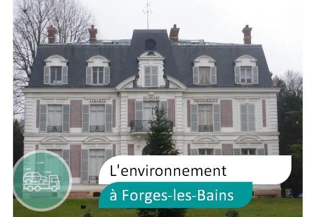 épaviste préserve environnement à Forges-les-Bains