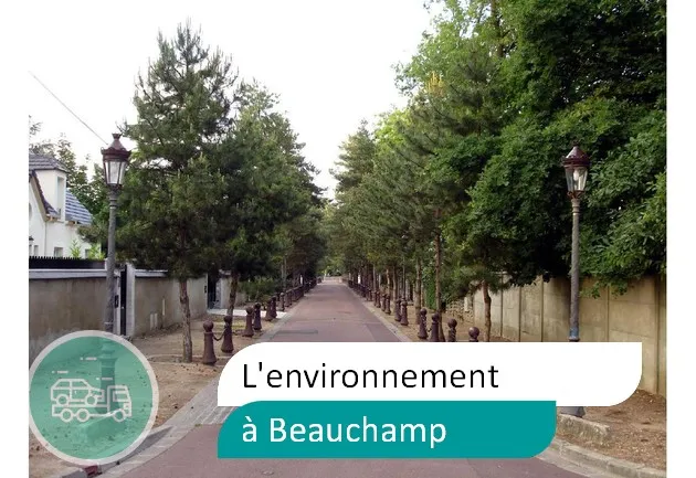 épaviste préserve environnement à Beauchamp