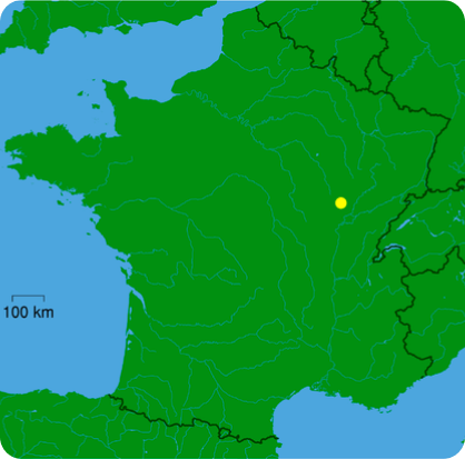 intervention épaviste à Bron